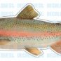 RAINBOW TROUT -Fish Decal- sticker truck fishing