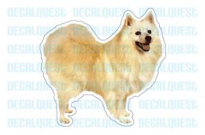 GERMAN SPITZ - Dog Decal - sticker car got graphic