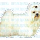 MALTESE - Dog Decal -sticker dogs car got graphic gift