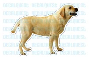 LABRADOR RETRIEVER - Dog Decal - sticker yellow lab car