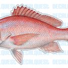 RED SNAPPER -Fish Decal- window sticker truck fishing