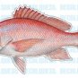 RED SNAPPER -Fish Decal- window sticker truck fishing