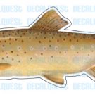 BROWN TROUT -Fish Decal- window sticker truck fishing