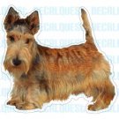 SCOTTISH TERRIER - Dog Decal - sticker car got scotty