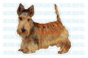SCOTTISH TERRIER - Dog Decal - sticker car got scotty