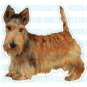 SCOTTISH TERRIER - Dog Decal - sticker car got scotty