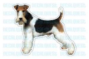 WIRE FOX TERRIER - Dog Decal - sticker car got dogs