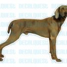 WEIMARANER - Dog Decal - sticker car got window