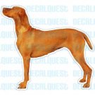 VIZSLA - Dog Decal - sticker car got window graphic