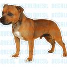 STAFFORDSHIRE BULL TERRIER - Dog Decal -sticker car got