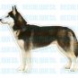 SIBERIAN HUSKY - Dog Decal - sticker dogs car got gift