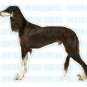 SALUKI - Dog Decal - sticker dogs car got graphic