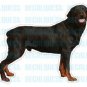 ROTTWEILER - Dog Decal - rot sticker car got rotweiler