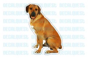 RHODESIAN RIDGEBACK - Dog Decal - sticker dogs car got