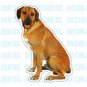 RHODESIAN RIDGEBACK - Dog Decal - sticker dogs car got