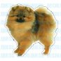 POMERANIAN - Dog Decal - sticker dogs car got window