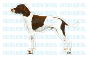 POINTER - Dog Decal - sticker dogs car got window