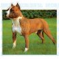 PITBULL - Dog Decal - sticker car got pit bull graphic