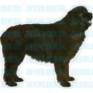 NEWFOUNDLAND - Dog Decal - sticker dogs car got window