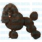 MINIATURE POODLE - Dog Decal - sticker dogs car got