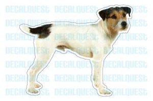 JACK RUSSELL TERRIER - Dog Decal - sticker dogs car got