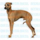 ITALIAN GREYHOUND - Dog Decal - sticker dogs car got