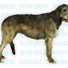IRISH WOLFHOUND - Dog Decal - sticker car got window