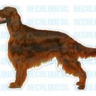 IRISH SETTER - Dog Decal - sticker dogs car got window
