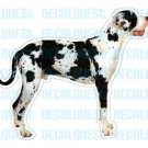GREAT DANE - Dog Decal - sticker dogs car got graphic
