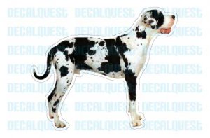 GREAT DANE - Dog Decal - sticker dogs car got graphic