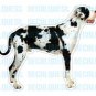 GREAT DANE - Dog Decal - sticker dogs car got graphic