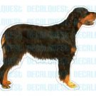 GORDON SETTER - Dog Decal - sticker dogs car got window