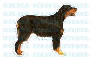 GORDON SETTER - Dog Decal - sticker dogs car got window