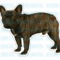 FRENCH BULLDOG - Dog Decal - sticker got bull window