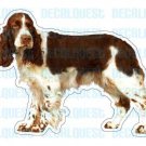 ENGLISH SPRINGER SPANIEL - Dog Decal - sticker dogs got