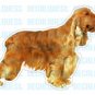 ENGLISH COCKER SPANIEL - Dog Decal - sticker car got