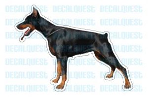 DOBERMAN - Dog Decal - sticker car got pinscher gift