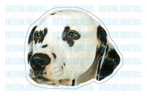DALMATION - Dog Decal - sticker dogs car got window