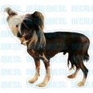 CHINESE CRESTED - Dog Decal - sticker car got graphic