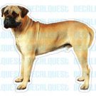 BULLMASTIFF - Dog Decal - sticker car got bull mastiff