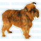 BRUSSELS GRIFFON - Dog Decal - sticker dogs car window