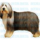 BEARDED COLLIE - Dog Decal - sticker gift car window