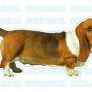BASSET HOUND - Dog Decal - sticker dogs car got window