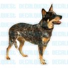 AUSTRALIAN CATTLE DOG - Decal - heeler sticker car got