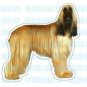 AFGHAN HOUND - Dog Decal - sticker dogs car got window