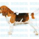 BEAGLE-Dog Decal-sticker dogs car got window decals