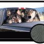 WOLVES 22"x65" Rear Window Graphic back truck suv