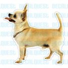 CHIHUAHUA-Dog Decal-sticker dogs car got window
