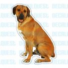 RHODESIAN RIDGEBACK-Dog Decal-sticker dogs car got