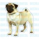 PUG-Dog Decal-sticker dogs car got window graphic